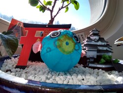 Picture taken with the front camera