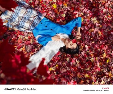 (Image source: Huawei)