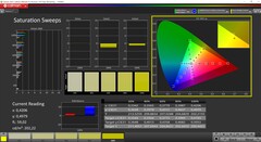 CalMAN saturation calibrated