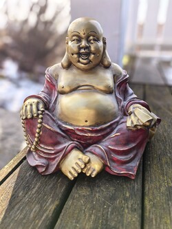 Recording with the selfie camera