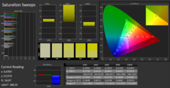 CalMAN - Saturation Sweeps (calibrated)