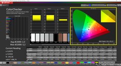 CalMAN ColorChecker (profile: Native, target color space: P3)