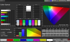 CalMAN Color space coverage