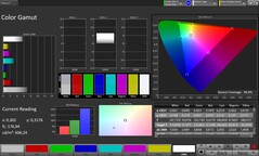 CalMAN Color Gamut sRGB