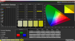 CalMAN Saturation Sweeps (calibrated)
