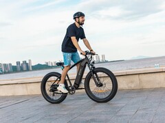 The DYU King 750 fat tire e-bike has a top speed of 45 kph (~28 mph). (Image source: DYU)