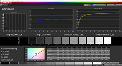 CalMAN: Grayscale - calibrated