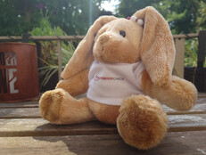 Sony Xperia 1 VII: Sample photo