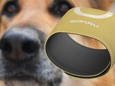 The dog's nose-inspired Sokru wearable sensor detects volatile organic compounds. (Image source: Lakka/Unsplash - edited)