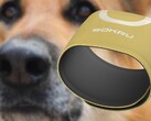 The dog's nose-inspired Sokru wearable sensor detects volatile organic compounds. (Image source: Lakka/Unsplash - edited)