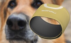 The dog's nose-inspired Sokru wearable sensor detects volatile organic compounds. (Image source: Lakka/Unsplash - edited)