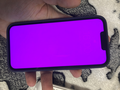Some people are reporting a pink colour overlay on their iPhone 13's. (Image source: DPigar)