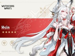 Official character artwork for Wuthering Waves' first playable Sentinel, Hsin.
