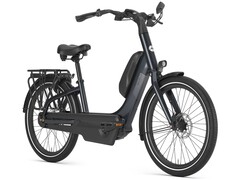 Easyflow C8: E-bike designed with comfort in mind (Image source: Gazelle)