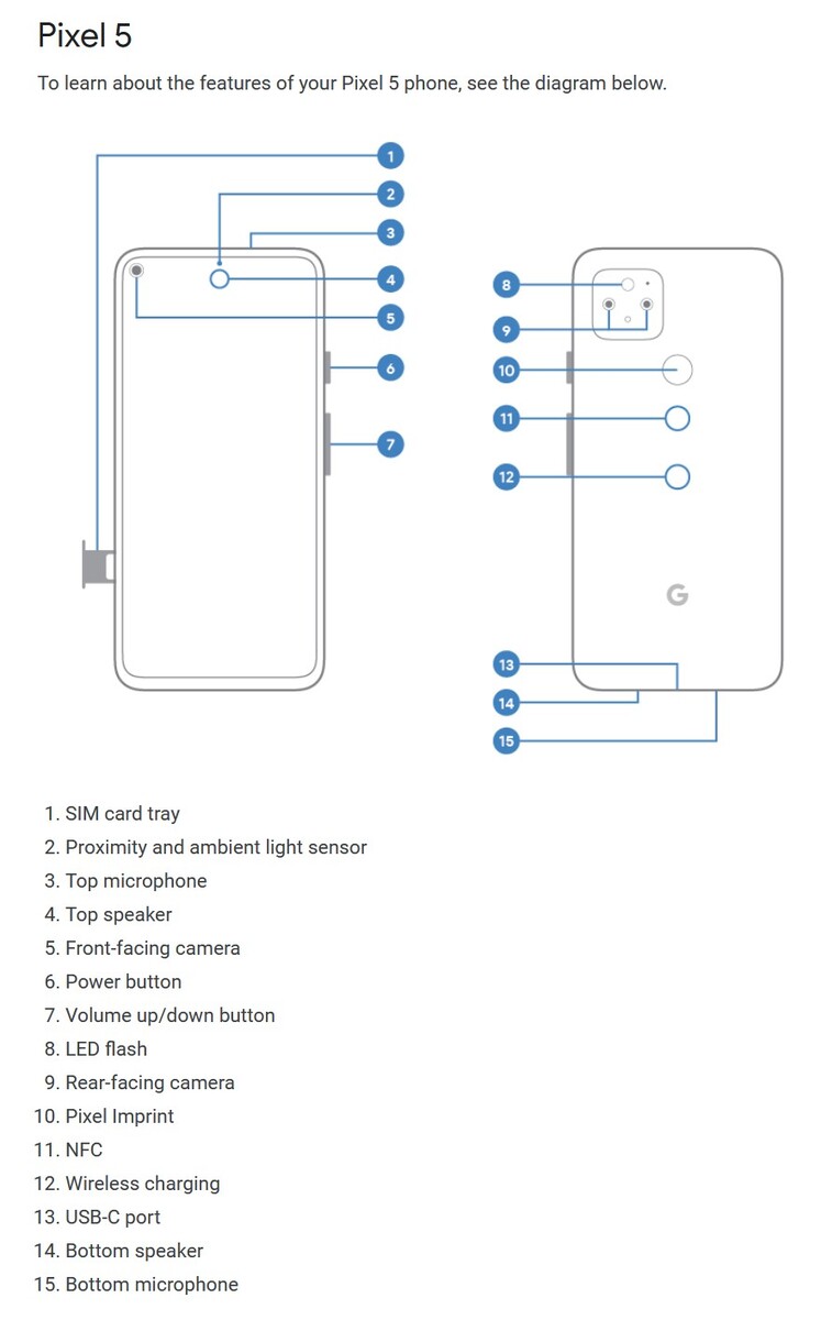 What I Need to See From the Pixel 5