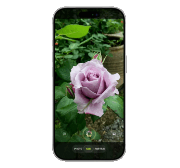 Siri is set to be baked into the Camera app for the first time, integrating visual intelligence for identifying objects via outside AI services like Google and ChatGPT, says the leak.
