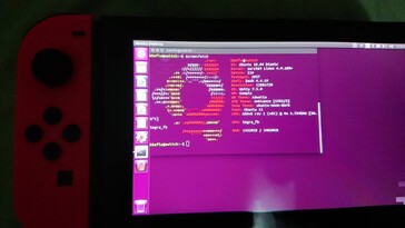 Ubuntu running on the Nintendo Switch (Source: u/kbeflo_ on Reddit)