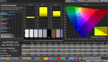 CalMAN Color accuracy