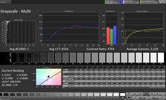 Cover display: Grayscale (Profile: Professional, Target color space: sRGB)