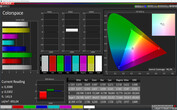CalMan color space (profile: Default, color space target: sRGB)