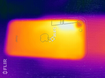 Heatmap - back