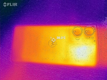 Heat map back