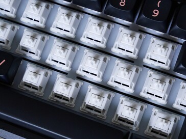 Feker marble white switches