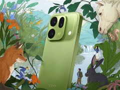 The Oppo Find X10 has launched in a new color a month after its release.