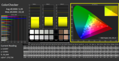 CalMAN - Color Checker