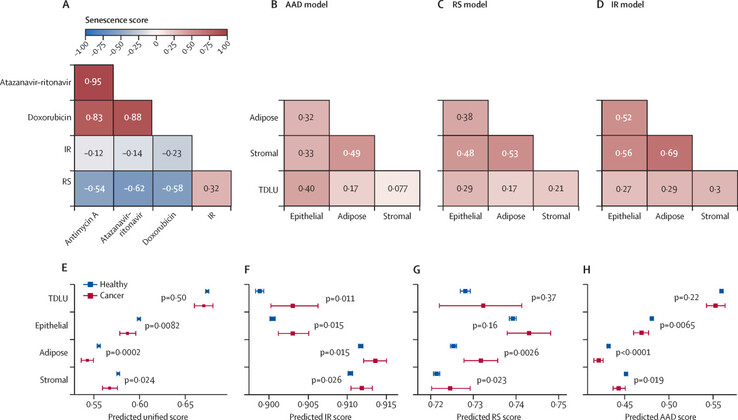 Tissue classification and future cancer diagnosis. (Image source: The Lancet Digital Health)