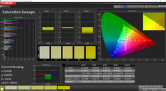 CalMAN saturation calibrated