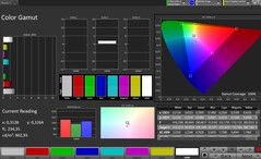 Color space (profile: Professional, target color space: sRGB)