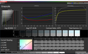 CalMAN gray scale Vivid (DCI-P3)