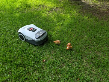 Did not mow down the analog dummies