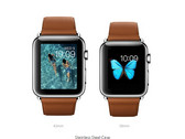 Apple Watch option with Saddle Brown Classic Buckle