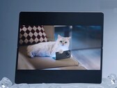 The Vivo X Fold 5 is said to work well with the Apple Watch and also with iPhones, MacBooks, and iCloud. (Image source: Vivo)