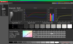 Grayscale before calibration