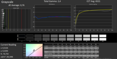 CalMAN - grayscale (calibrated)