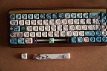 The keyboard features a Joy of Life Chinese artwork theme (Image source: Abhinav Fating / Notebookcheck)