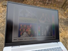 Outdoors under bright overcast