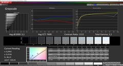 CalMAN Colorchecker Grayscale