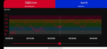 Heart rate measurement with Polar H10 chest strap.