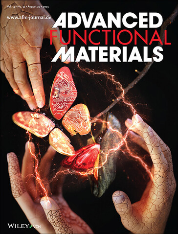 SK On's lithium dendrite-fighting invention made it to the cover of Advanced Functional Materials magazine