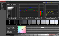 Grayscale before calibration