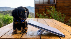 SpaceX is working on a new Starlink Mini dish generation (Image source: Michael Nicolls/X)