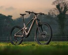 Powerful motor, lightweight frame: The Mondraker Zendit R