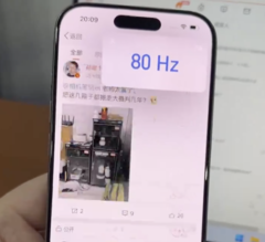 People have been complaining about the iPhone's '80 Hz' phenomenon before iOS 18. (Image source: @UniverseIce)