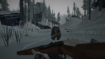 An image showing a bear in The Long Dark.