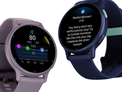 Daily Summary, Rest Alerts and Stress Alerts are already available for the Vivoactive 5 (above). (Image source: Garmin).