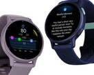 Daily Summary, Rest Alerts and Stress Alerts are already available for the Vivoactive 5 (above). (Image source: Garmin).